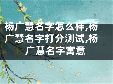 杨广慧名字怎么样,杨广慧名字打分测试,杨广慧名字寓意