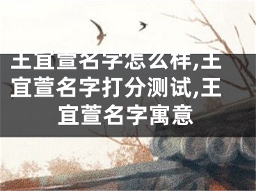 王宜萱名字怎么样,王宜萱名字打分测试,王宜萱名字寓意