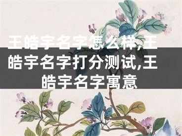 王皓宇名字怎么样,王皓宇名字打分测试,王皓宇名字寓意