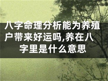 八字命理分析能为养殖户带来好运吗,养在八字里是什么意思