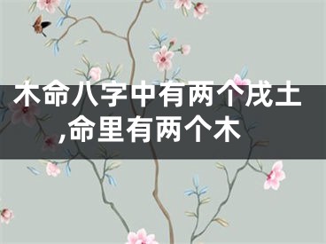 木命八字中有两个戌土,命里有两个木