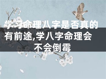 学习命理八字是否真的有前途,学八字命理会不会倒霉