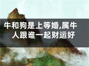 牛和狗是上等婚,属牛人跟谁一起财运好
