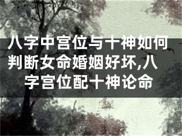 八字中宫位与十神如何判断女命婚姻好坏,八字宫位配十神论命
