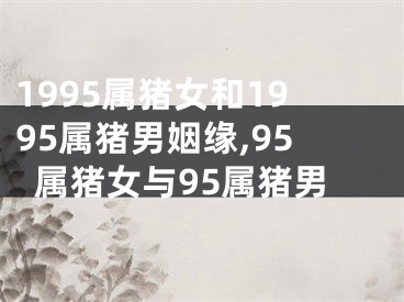 1995属猪女和1995属猪男姻缘,95属猪女与95属猪男