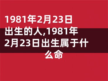 1981年2月23日出生的人,1981年2月23日出生属于什么命