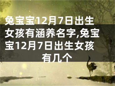 兔宝宝12月7日出生女孩有涵养名字,兔宝宝12月7日出生女孩有几个