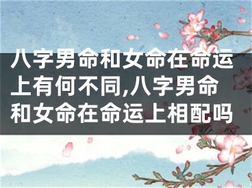 八字男命和女命在命运上有何不同,八字男命和女命在命运上相配吗