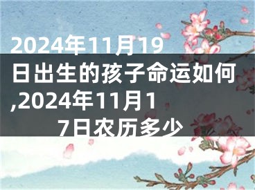2024年11月19日出生的孩子命运如何,2024年11月17日农历多少