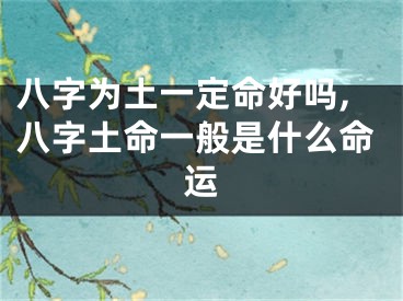 八字为土一定命好吗,八字土命一般是什么命运