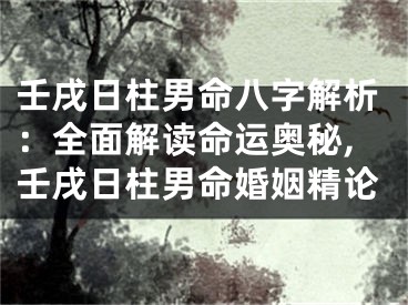 壬戌日柱男命八字解析：全面解读命运奥秘,壬戌日柱男命婚姻精论