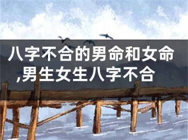 八字不合的男命和女命,男生女生八字不合