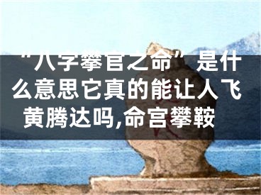 “八字攀官之命”是什么意思它真的能让人飞黄腾达吗,命宫攀鞍