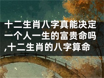 十二生肖八字真能决定一个人一生的富贵命吗,十二生肖的八字算命