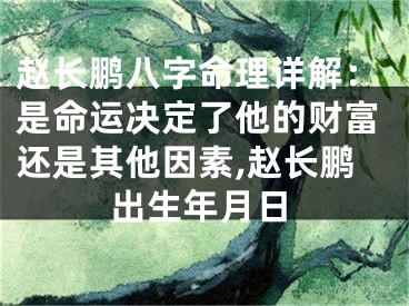 赵长鹏八字命理详解：是命运决定了他的财富还是其他因素,赵长鹏出生年月日