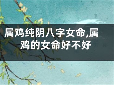 属鸡纯阴八字女命,属鸡的女命好不好