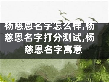 杨慈恩名字怎么样,杨慈恩名字打分测试,杨慈恩名字寓意