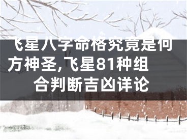飞星八字命格究竟是何方神圣,飞星81种组合判断吉凶详论