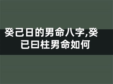癸己日的男命八字,癸已曰柱男命如何