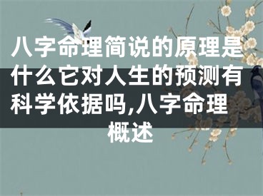 八字命理简说的原理是什么它对人生的预测有科学依据吗,八字命理概述