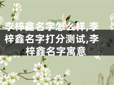 李梓鑫名字怎么样,李梓鑫名字打分测试,李梓鑫名字寓意