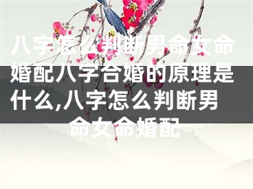 八字怎么判断男命女命婚配八字合婚的原理是什么,八字怎么判断男命女命婚配