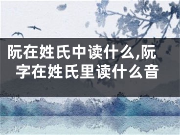 阮在姓氏中读什么,阮字在姓氏里读什么音
