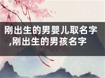 刚出生的男婴儿取名字,刚出生的男孩名字