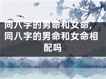 同八字的男命和女命,同八字的男命和女命相配吗