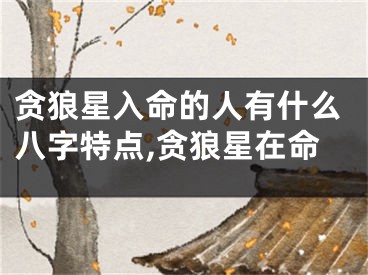 贪狼星入命的人有什么八字特点,贪狼星在命