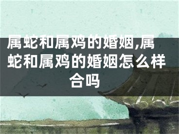 属蛇和属鸡的婚姻,属蛇和属鸡的婚姻怎么样 合吗