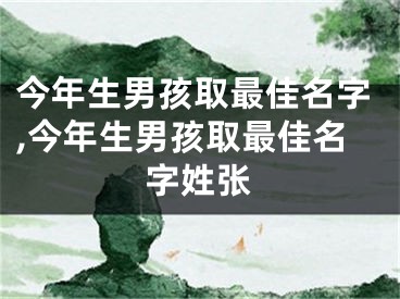 今年生男孩取最佳名字,今年生男孩取最佳名字姓张
