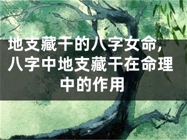 地支藏干的八字女命,八字中地支藏干在命理中的作用