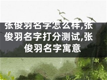 张俊羽名字怎么样,张俊羽名字打分测试,张俊羽名字寓意