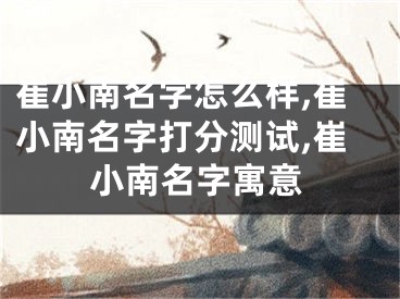 崔小南名字怎么样,崔小南名字打分测试,崔小南名字寓意