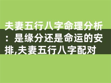 夫妻五行八字命理分析：是缘分还是命运的安排,夫妻五行八字配对
