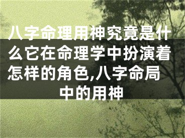 八字命理用神究竟是什么它在命理学中扮演着怎样的角色,八字命局中的用神
