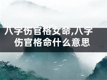 八字伤官格女命,八字伤官格命什么意思