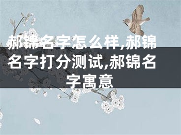 郝锦名字怎么样,郝锦名字打分测试,郝锦名字寓意