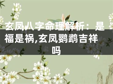 玄凤八字命理解析：是福是祸,玄凤鹦鹉吉祥吗