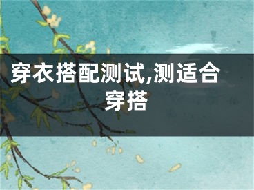 穿衣搭配测试,测适合穿搭