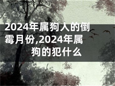 2024年属狗人的倒霉月份,2024年属狗的犯什么
