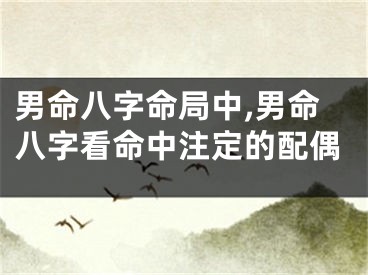 男命八字命局中,男命八字看命中注定的配偶