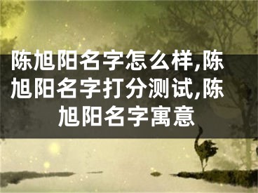 陈旭阳名字怎么样,陈旭阳名字打分测试,陈旭阳名字寓意