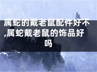 属蛇的戴老鼠配件好不,属蛇戴老鼠的饰品好吗