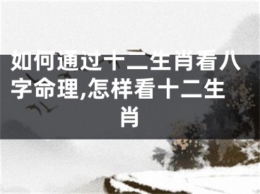 如何通过十二生肖看八字命理,怎样看十二生肖