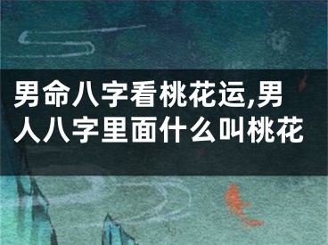 男命八字看桃花运,男人八字里面什么叫桃花