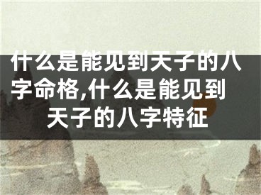 什么是能见到天子的八字命格,什么是能见到天子的八字特征