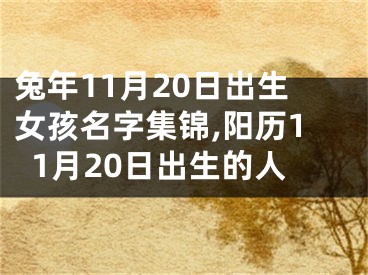 兔年11月20日出生女孩名字集锦,阳历11月20日出生的人
