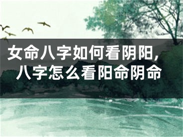 女命八字如何看阴阳,八字怎么看阳命阴命